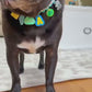 Custom Charm Collar