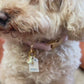 Conversation Hearts Charm Set